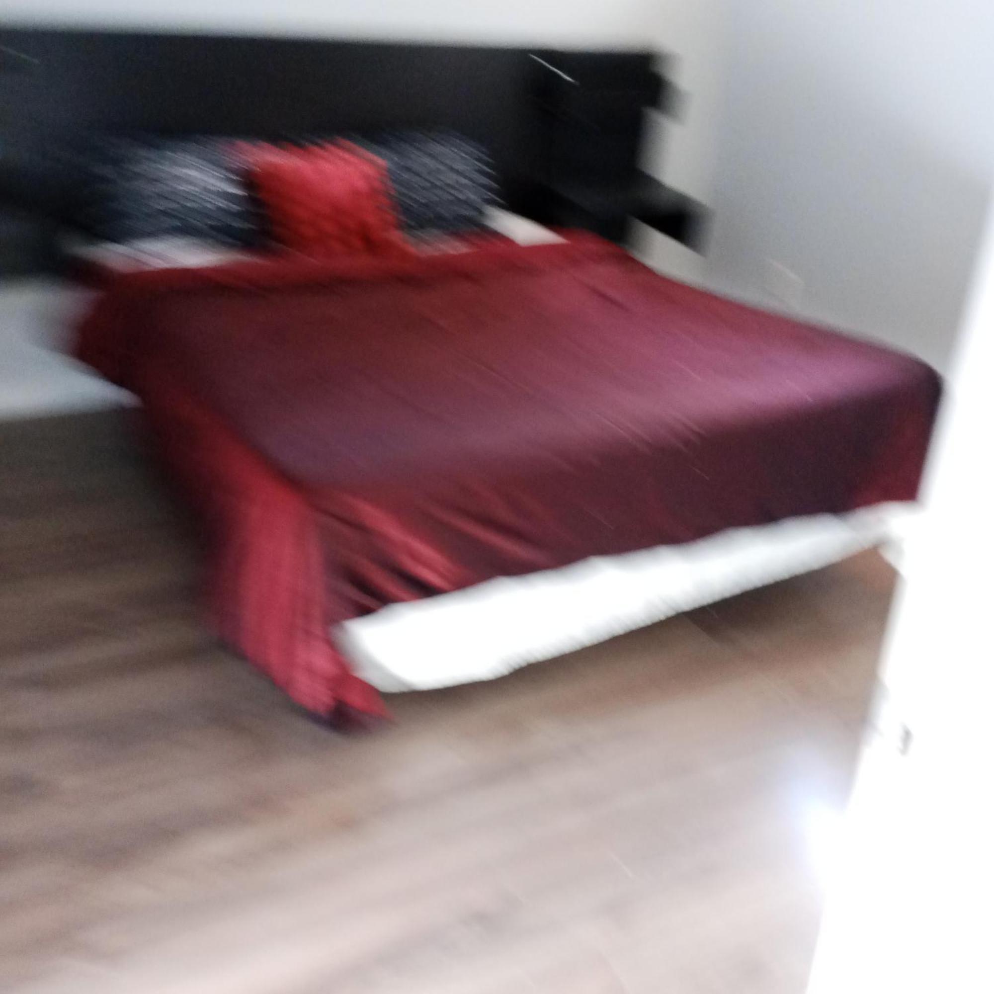The Basement By The Side Door Guest House Ottawa Extérieur photo